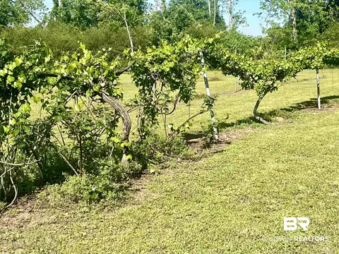 15531 County Road 83, Elberta, AL 36530 photo 50