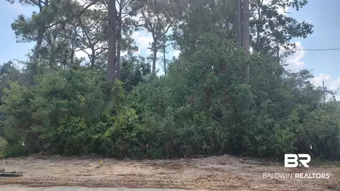 0 Bayou St John Ave, Orange Beach, AL 36561