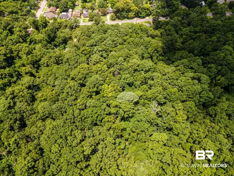 975 Norton Ln, Mobile, AL 36605 photo 12
