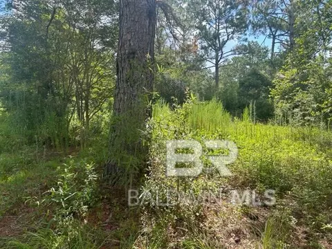 10818 John Bloch Rd, Elberta, AL 36530 photo 14