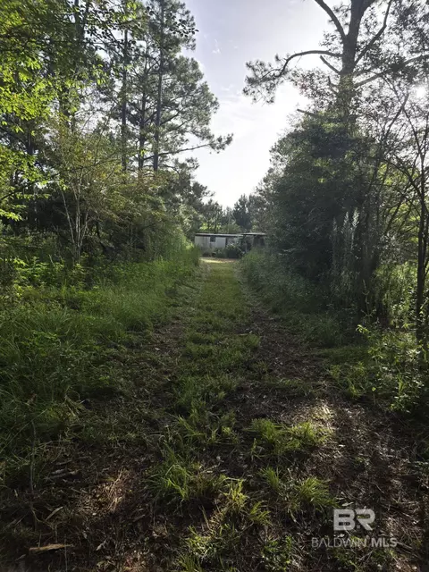 10818 John Bloch Rd, Elberta, AL 36530 photo 20