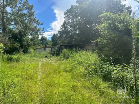 10818 John Bloch Rd, Elberta, AL 36530 photo 16
