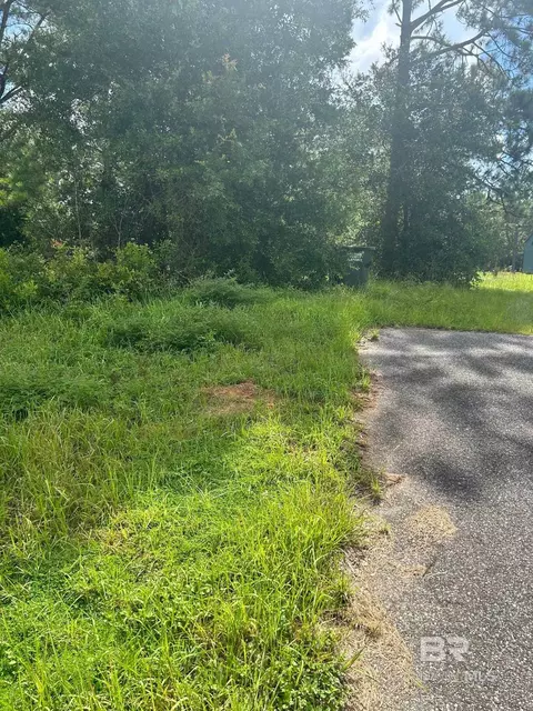 10818 John Bloch Rd, Elberta, AL 36530 photo 11