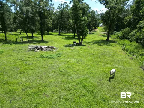8541 Highway 97, Mcdavid, FL 32568 photo 36