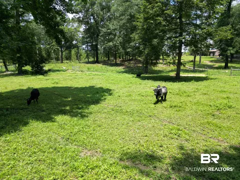 8541 Highway 97, Mcdavid, FL 32568 photo 35