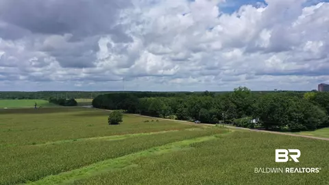 0 Bell Fork Rd, Atmore, AL 36502 photo 9
