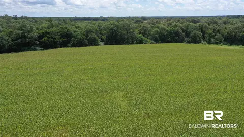 0 Bell Fork Rd, Atmore, AL 36502 photo 15