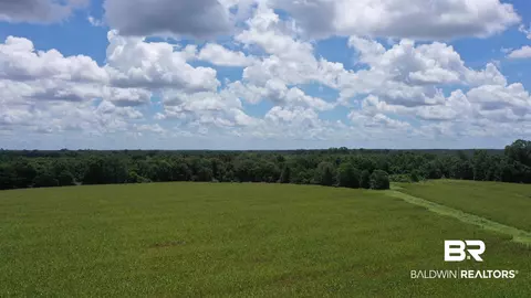 0 Bell Fork Rd, Atmore, AL 36502 photo 13