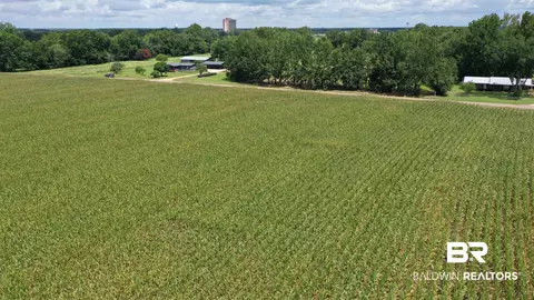 0 Bell Fork Rd, Atmore, AL 36502 photo 17