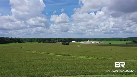 0 Bell Fork Rd, Atmore, AL 36502 photo 8