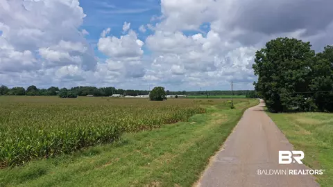 0 Bell Fork Rd, Atmore, AL 36502 photo 5
