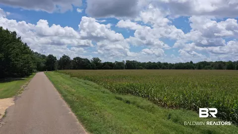 0 Bell Fork Rd, Atmore, AL 36502 photo 4