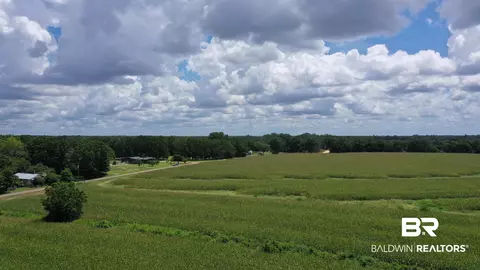 0 Bell Fork Rd, Atmore, AL 36502 photo 14