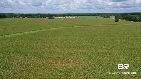 0 Bell Fork Rd, Atmore, AL 36502 photo 3