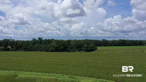 0 Bell Fork Rd, Atmore, AL 36502 photo 6