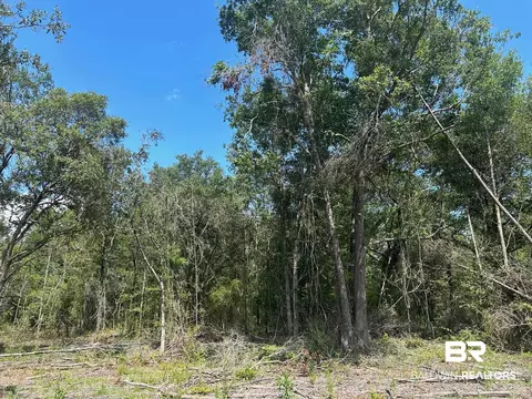 0 Newman Rd, Mobile, AL 36695 photo 19