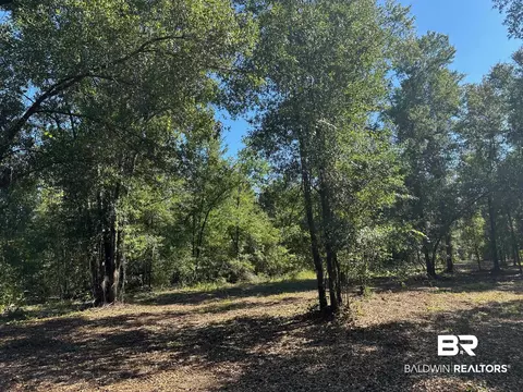 0 Newman Rd, Mobile, AL 36695 photo 6