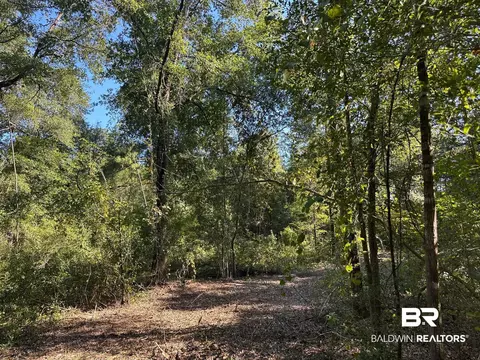 0 Newman Rd, Mobile, AL 36695 photo 10