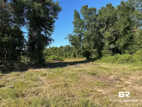 0 Newman Rd, Mobile, AL 36695 photo 2
