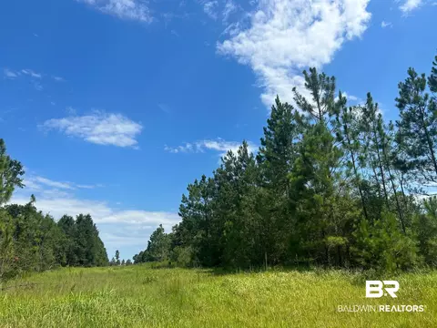 0 Newman Rd, Mobile, AL 36695 photo 20