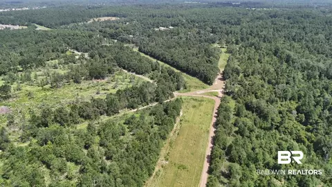 0 Newman Rd, Mobile, AL 36695 photo 32
