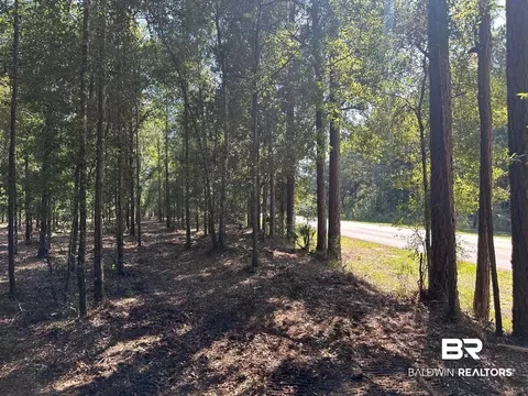 0 Newman Rd, Mobile, AL 36695 photo 4