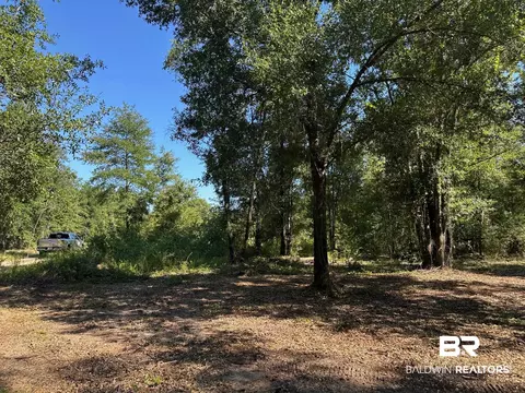 0 Newman Rd, Mobile, AL 36695 photo 7