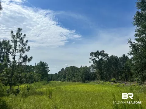 0 Newman Rd, Mobile, AL 36695 photo 18