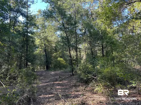 0 Newman Rd, Mobile, AL 36695 photo 11