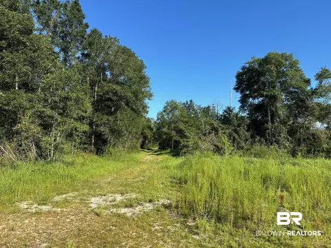 0 Newman Rd, Mobile, AL 36695 photo 17