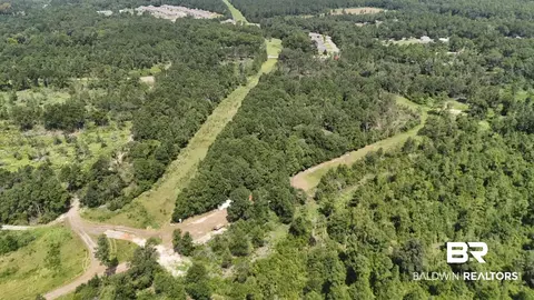 0 Newman Rd, Mobile, AL 36695 photo 34