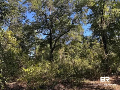 0 Newman Rd, Mobile, AL 36695 photo 8