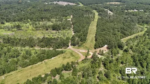 0 Newman Rd, Mobile, AL 36695 photo 33