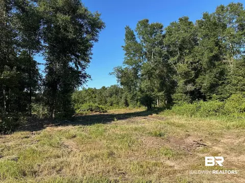 0 Newman Rd, Mobile, AL 36695 photo 12
