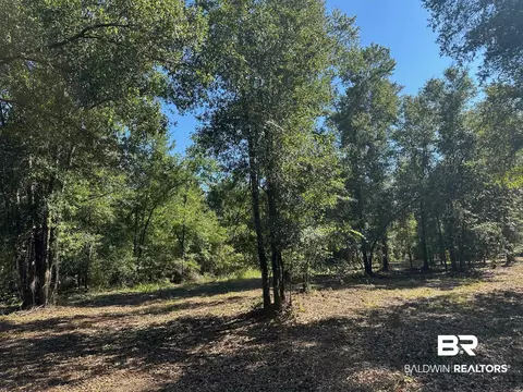 0 Newman Rd, Mobile, AL 36695 photo 5