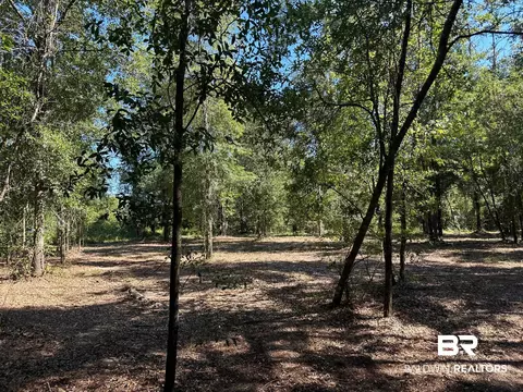 0 Newman Rd, Mobile, AL 36695 photo 3