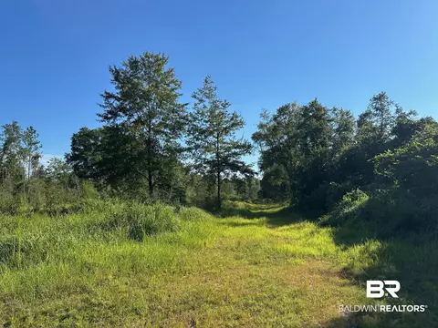 0 Newman Rd, Mobile, AL 36695 photo 14