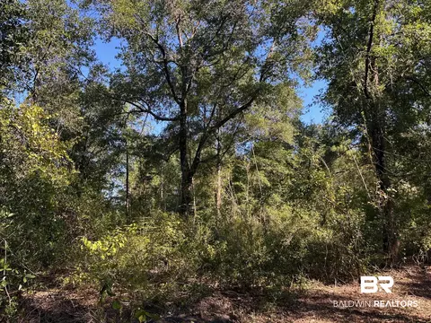 0 Newman Rd, Mobile, AL 36695 photo 9