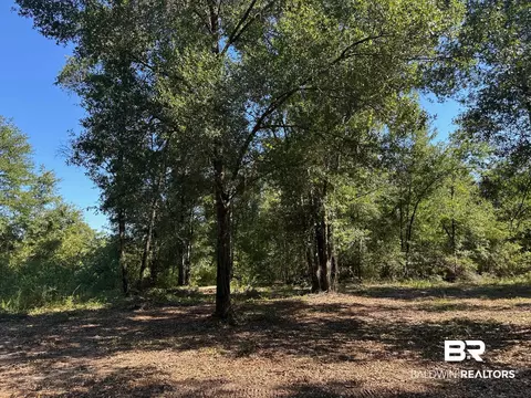 0 Newman Rd, Mobile, AL 36695