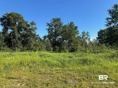 0 Newman Rd, Mobile, AL 36695 photo 15