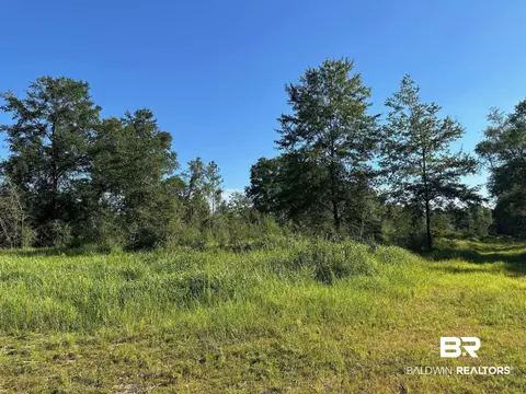 0 Newman Rd, Mobile, AL 36695 photo 16