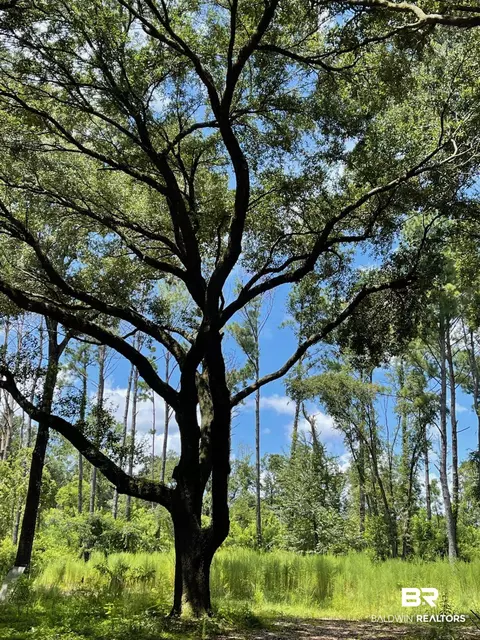 12293 Comalander Rd, Fairhope, AL 36532