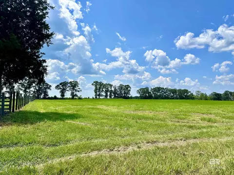26505 Highway 41, Range, AL 36473 photo 6