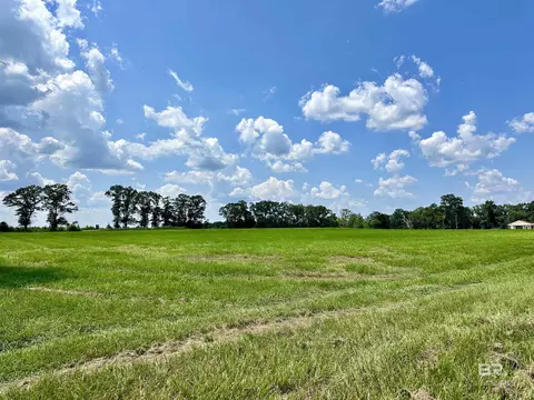 26505 Highway 41, Range, AL 36473 photo 7