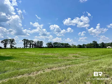 26505 Highway 41, Range, AL 36473 photo 7