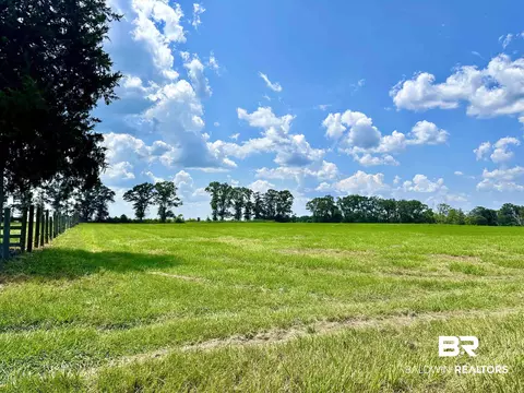26505 Highway 41, Range, AL 36473 photo 6