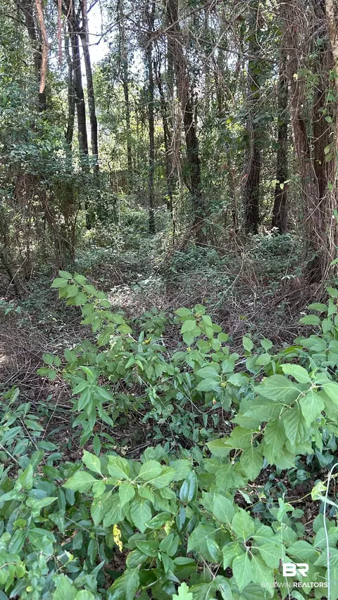 0 Sandy Shoal Loop, Fairhope, AL 36532