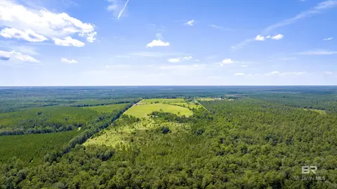 31512 N A N River Rd, Loxley, AL 36551