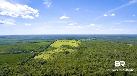 31512 N A N River Rd, Loxley, AL 36551