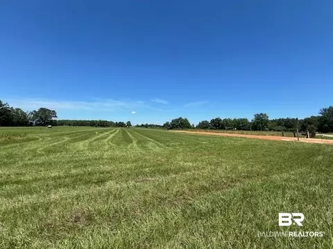 400 Block Ewing Dr, Atmore, AL 36502 photo 7